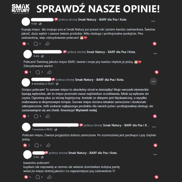 Mięso dla psa kota wołowina indyk BARF mrożone Baton kostka