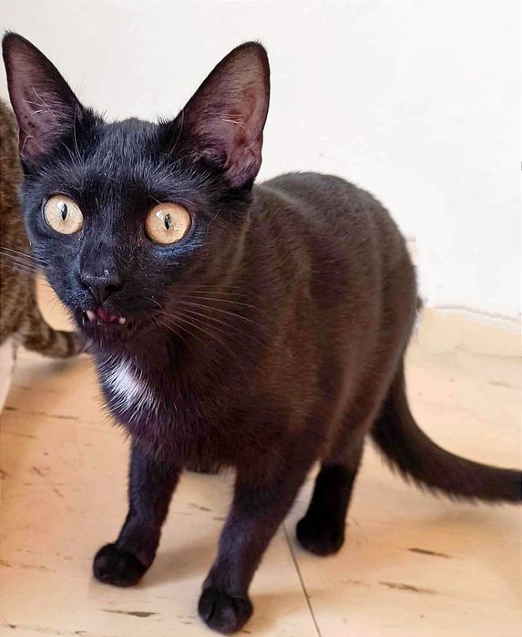 Maluchy. Chłopczyk i dziewczynka.