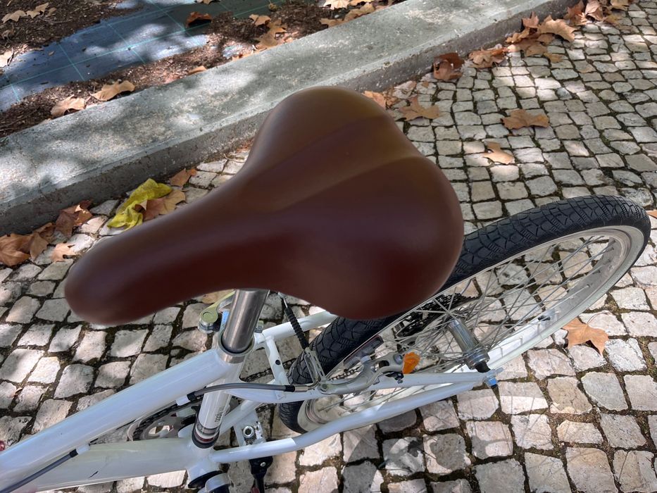 Bicicleta roda 20” com cesto amovível