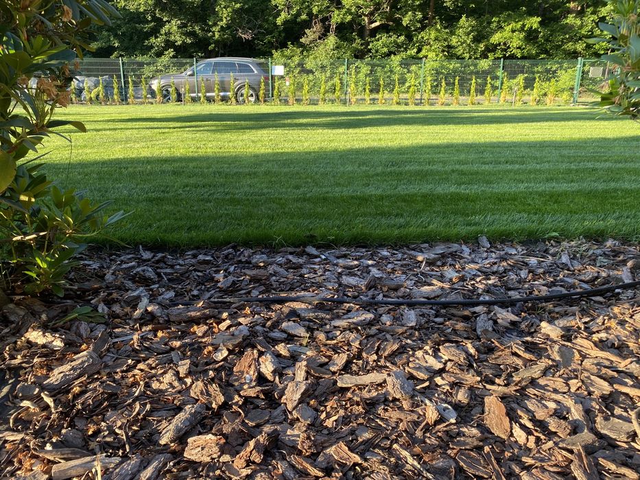 Usługi ogrodnicze - trawnik z rolki i siewu