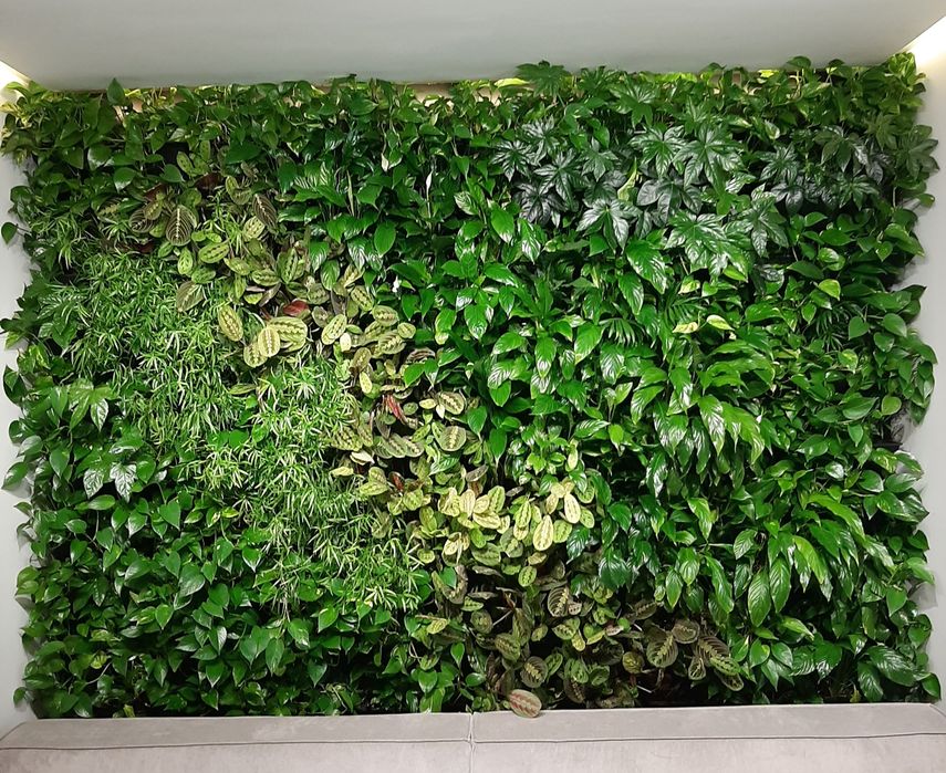 Озеленення.Догляд за рослинами..Флорист.