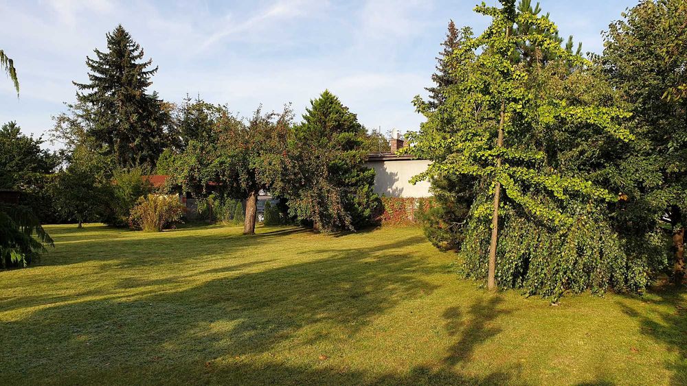 Działka w Kole - Koło - Widok 5