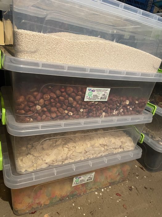 Залишок сухофрукту дешево оптом