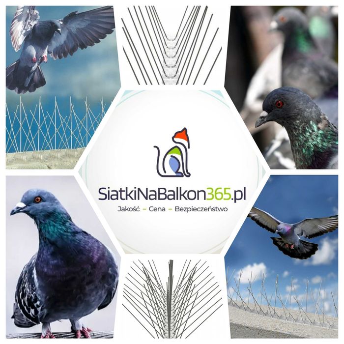 Sprzątanie i dezynfekcja balkonu, zabezpieczenia przeciw ptakom