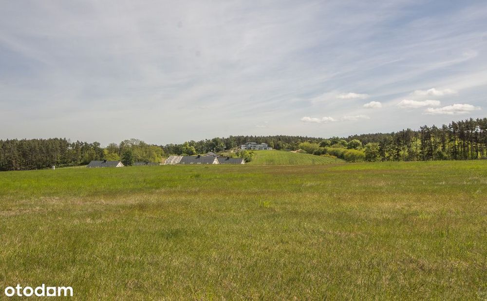 Przytok: 1275m2 pod dom. Media na działce