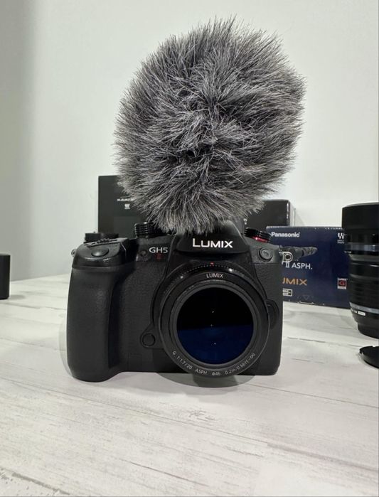 Panasonic Lumix gh5 II