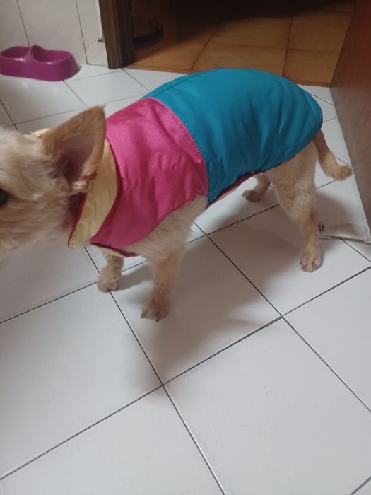 Casaco impermiavel cão ate aos 5 kilos