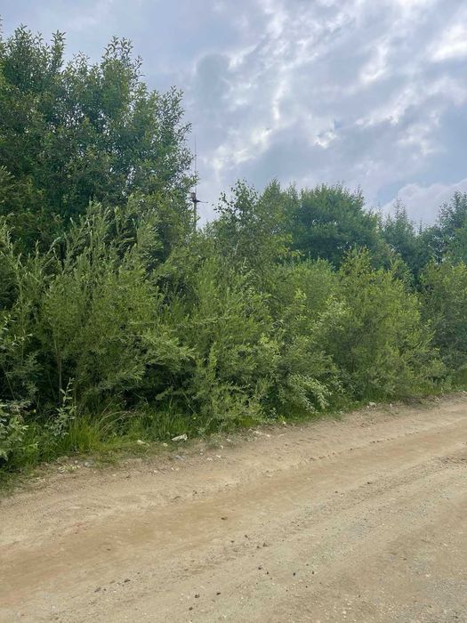 Земельна ділянка, площею 0,2017 га,  Львівська обл. с.Східниця