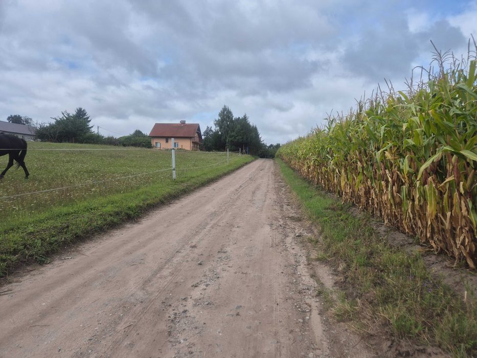 Działka z Warunkami Zabudowy Gościeradz 1815 m² - Widok 5
