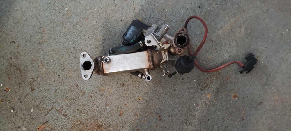 Radiador e ERG BMW E60