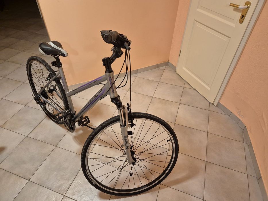 Rower Autor Linea damka