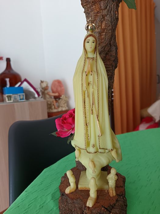 Imagem Sr. Fátima fluorescente