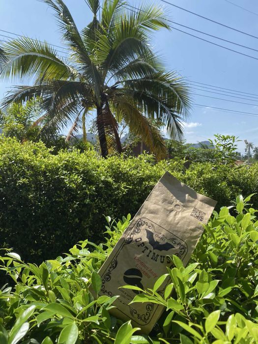 Кава зернова,свіжеобсмаженна кава,кофе зерновой , зерно ,свежая обжарк