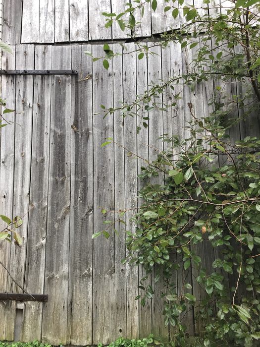 Wrota od stodoły z 1974r.