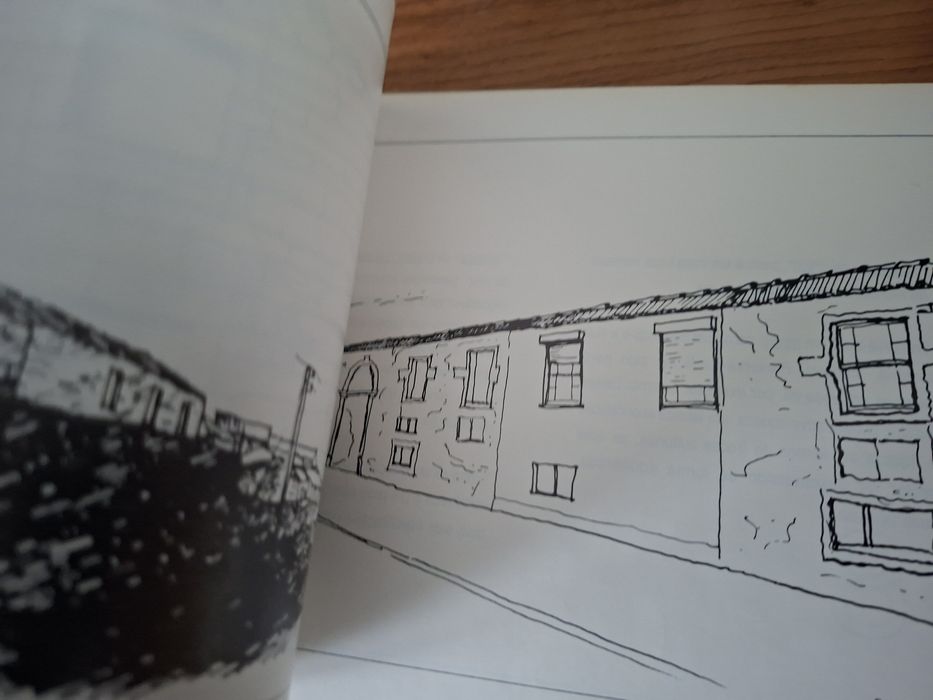 A Ilha do Pico e a Paisagem dos Muros Negros