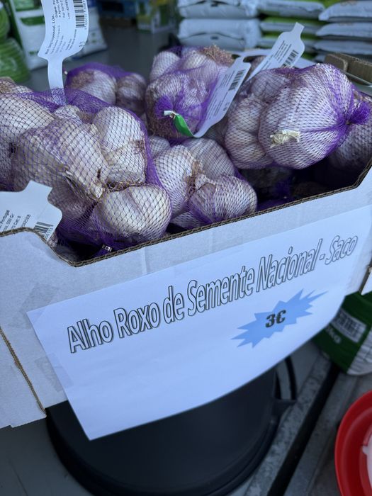 Alhos de semente roxos