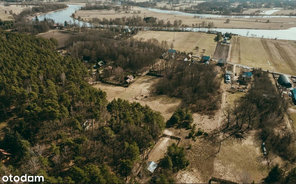 Wyjątkowa działka 8900 m² z własnym lasem w Bojanach, gmina Brok - Widok 3