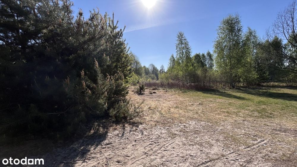 Zagościniec - zabud.wolnost. i bliźn. blisko szkoły, możl. podziału - Widok 3