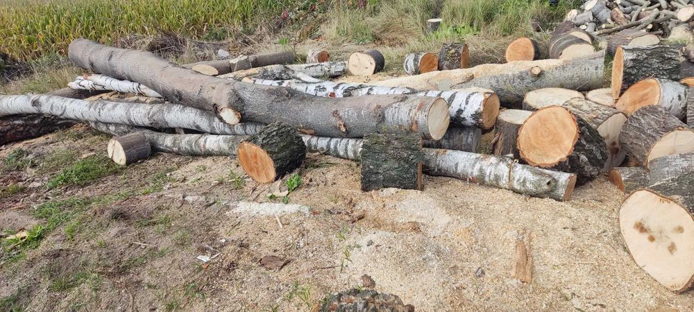 Drewno opałowe rąbane suche Olsza Brzoza Sosna Lipa Dowóz Na Wymiar