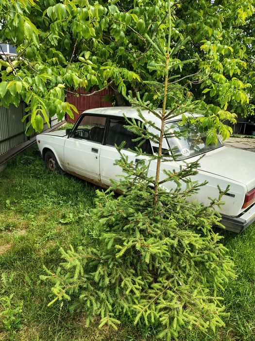 Автомобіль ВАЗ  2107