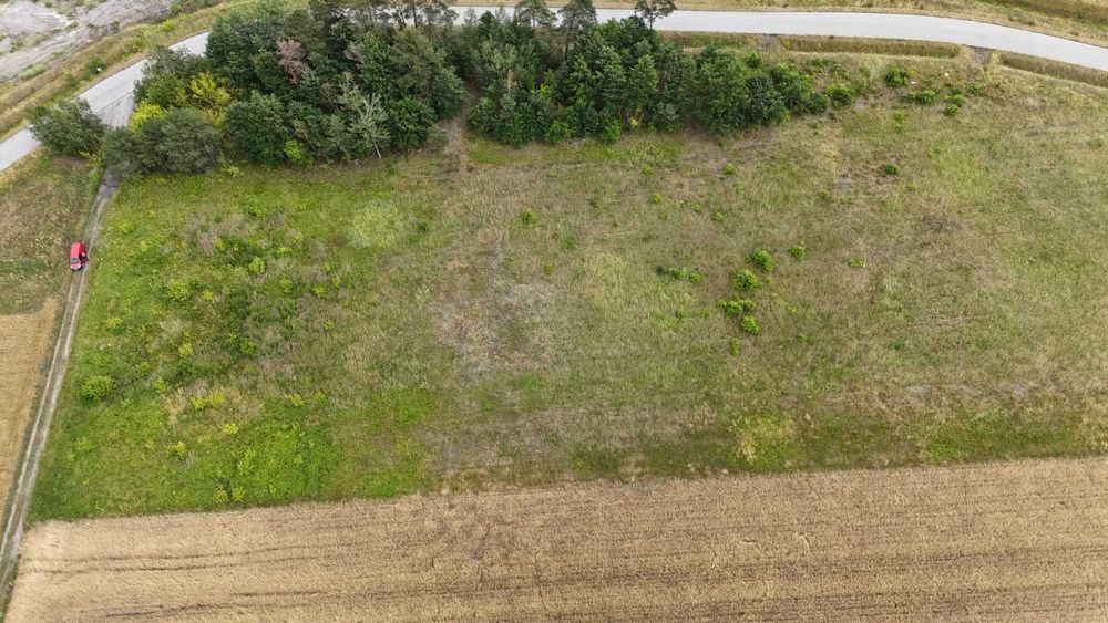 Działka inwestycyjna 1,5 ha przy S7 Dobrut, WZ pod halę magazynową, usługi, produkcja, logistyka, sprzedaż bezpośrednia - Widok 4