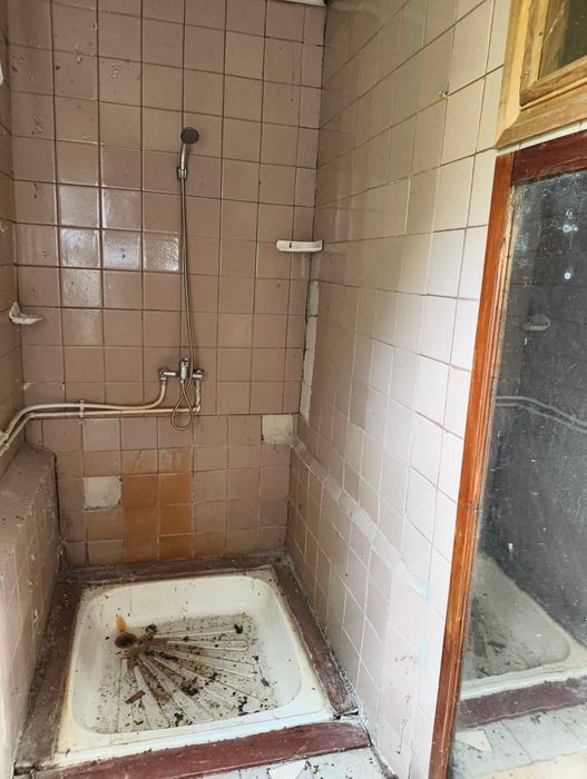 Будинок 40 м² + 39 соток, 30 км від Полтави, с. Вільхівщина