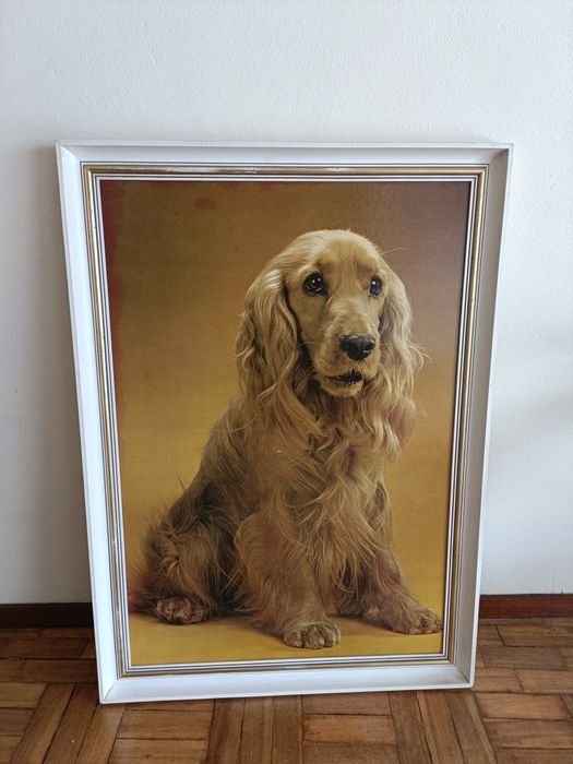 Moldura de madeira com poster de Cão