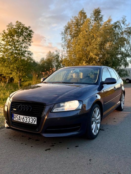 Audi A3 8P Quattro