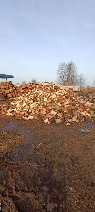 Drewno opałowe iglaste suche