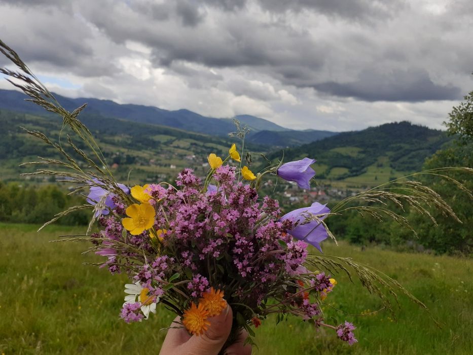 Здається приватна садиба з басейном +чан(Тухля)