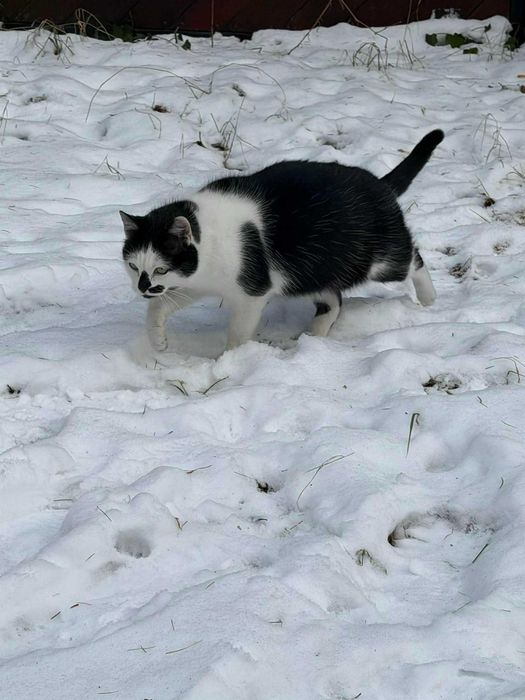Kto pokocha takie cudowności?