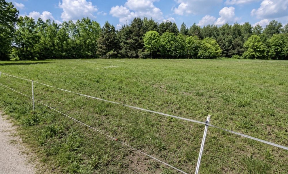Działka budowlana przy lesie