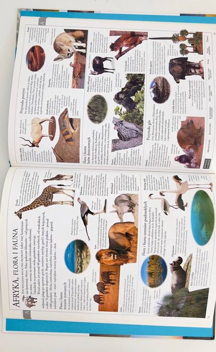 Encyklopedia dla dzieci – komplet 16 tomów