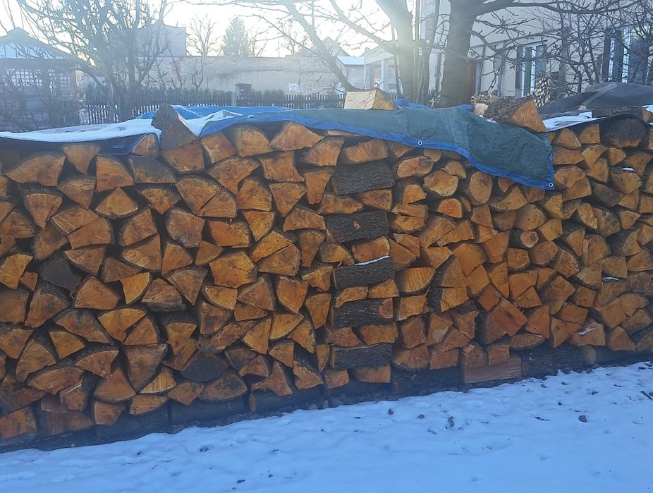 Drzewo kominkowe Olcha