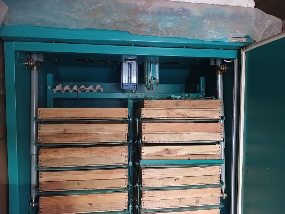 Инкубатор Инка 3000