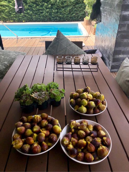 Mesa jardim e cadeiras