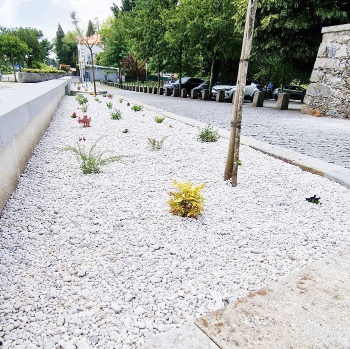 Serviços de jardinagem e limpeza de terrenos