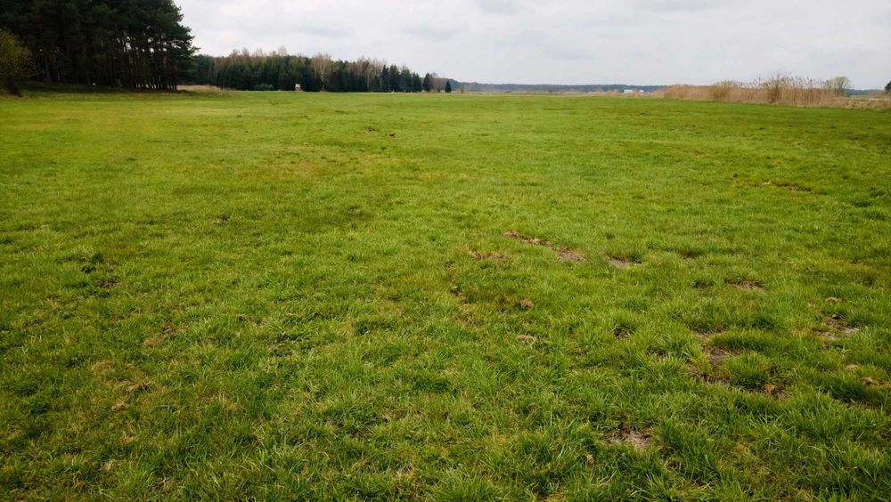 Wyjątkowa działka nad rzeką gmina Wolsztyn