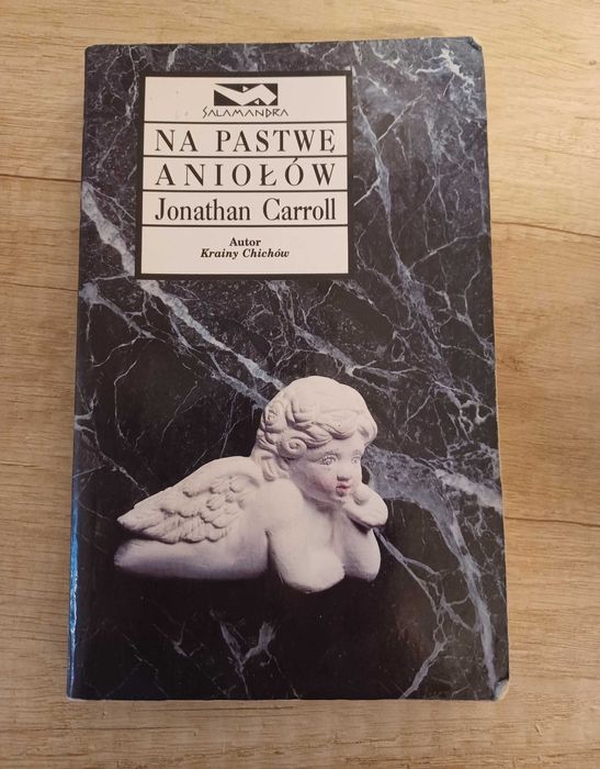 Jonathan Carroll- Na pastwę aniołów