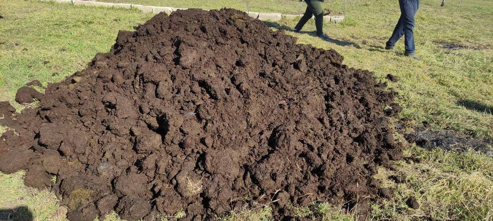 Доставляем чернозем высшего качества.в мешках и россыпью.