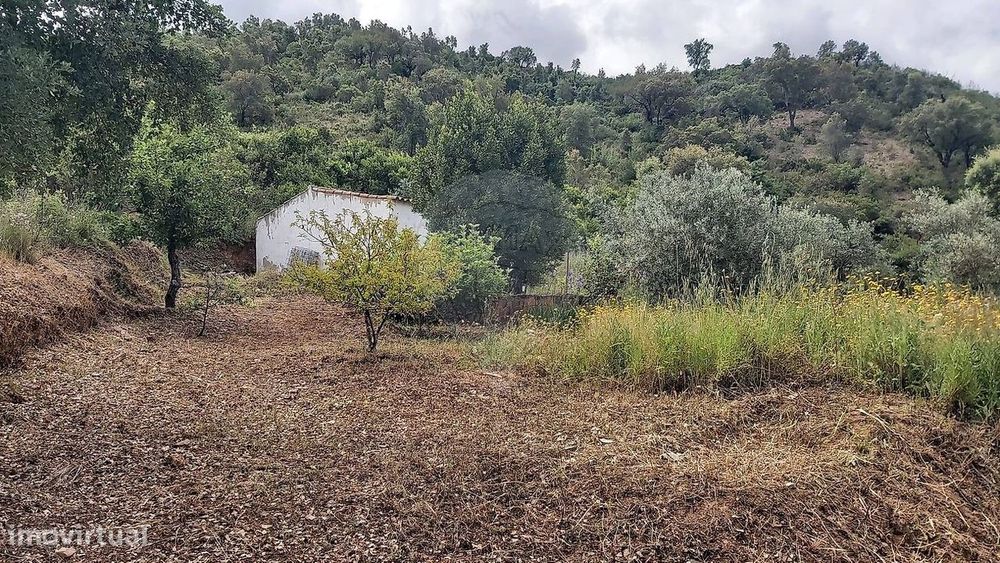 Terreno  para venda