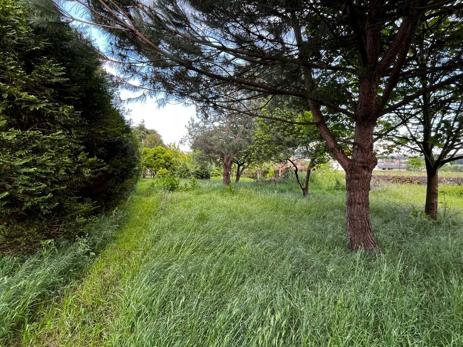 Terreno em S. Pedro, Barcelos, com 460 m² para construção