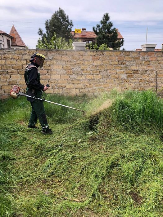 Приведение в порядок,уборка,расчистка участков. Порядочность.