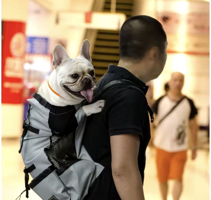Mochila transporte cão L