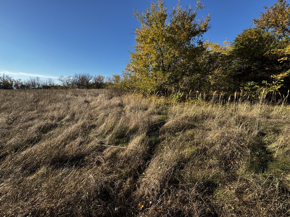 Дом в Шульговке , Петриковский р- н, Каменское 20 км.