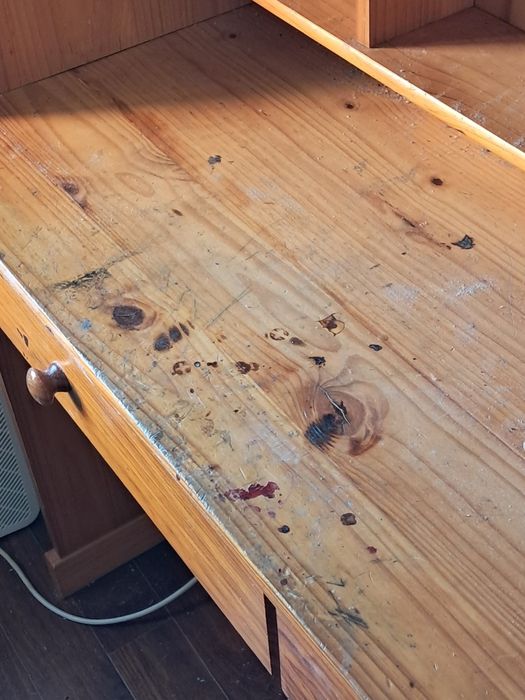 Secretaria americana