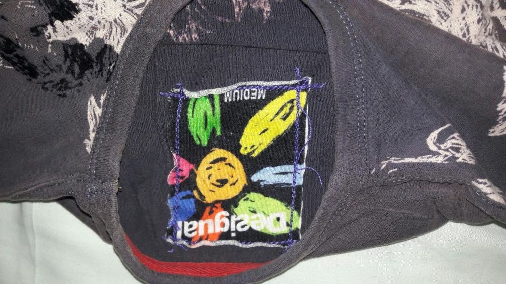 Longsleeve camisola Desigual