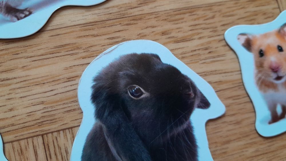 Magnesy na lodówkę ze zwierzętami