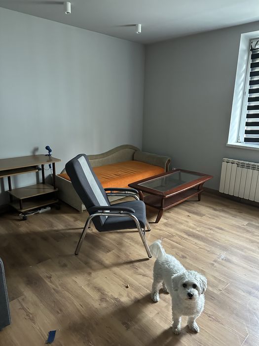 Pokój do wynajecia
