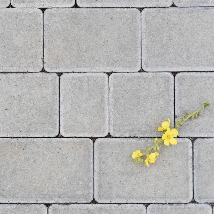 Продаж та Укладання бруківки Луцьк